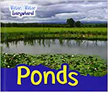 Level 4: Blue Non-Fiction Book Bands