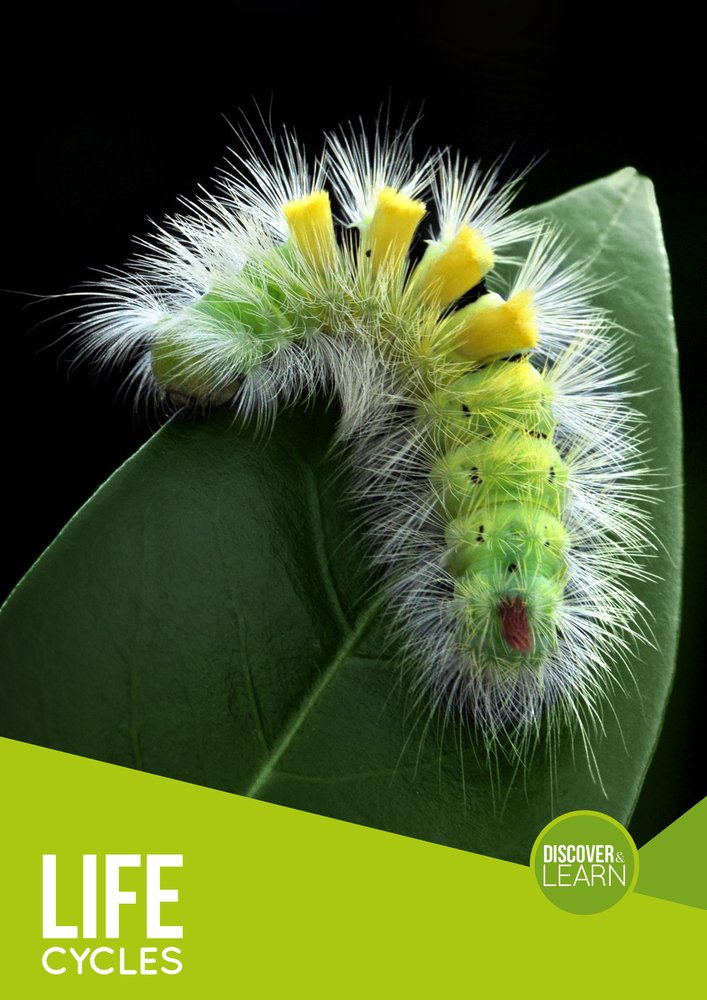 Book Band Non-Fiction (90 Books) by BookLife