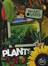 Level 15: Burgundy Non-Fiction Book Bands