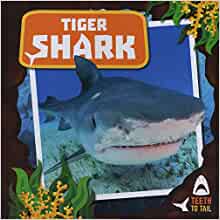 Level 7: Turquoise Non-Fiction Book Bands