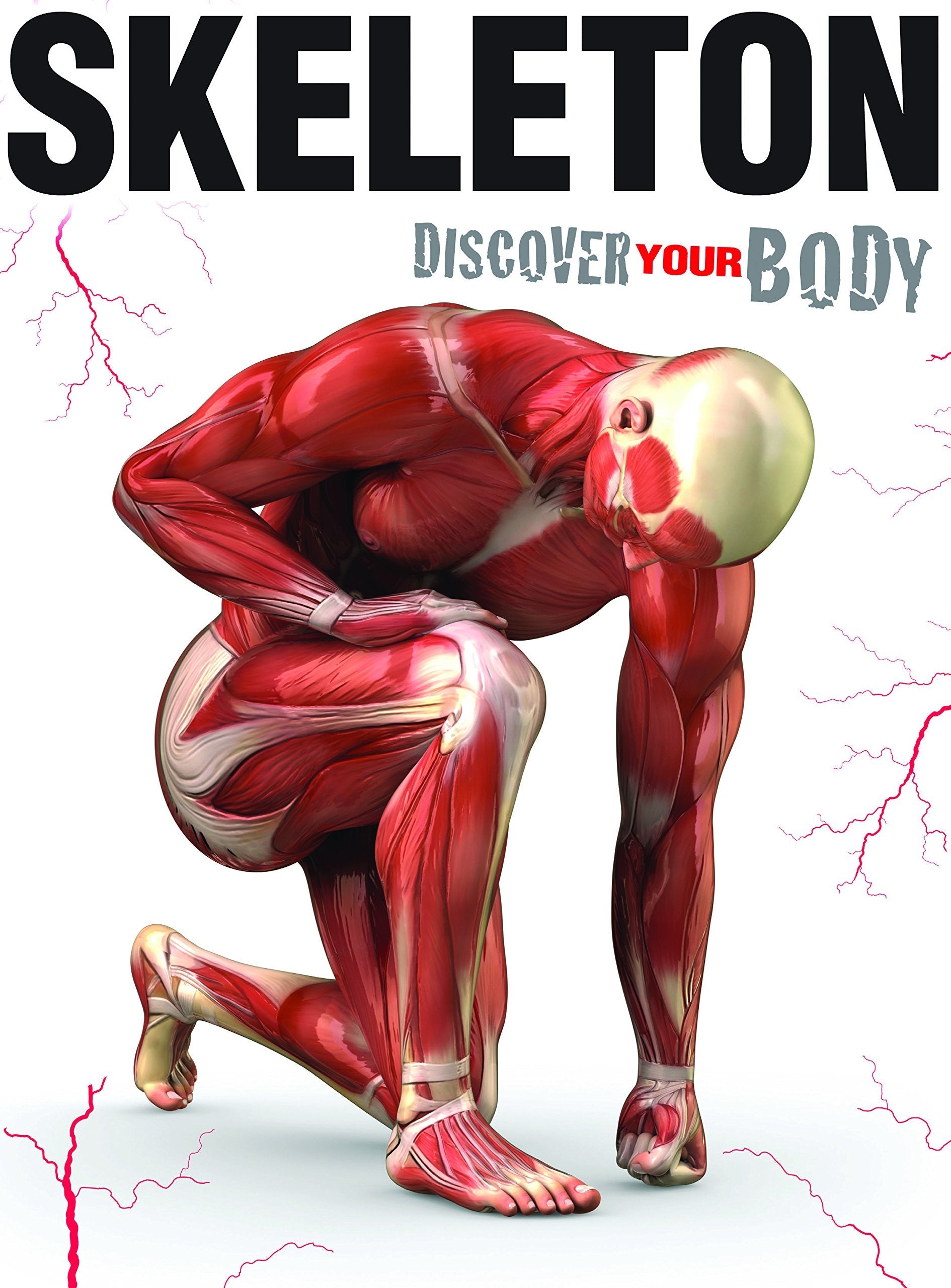 Book Band Non-Fiction (90 Books) by BookLife