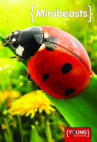 Book Band Non-Fiction (90 Books) by BookLife