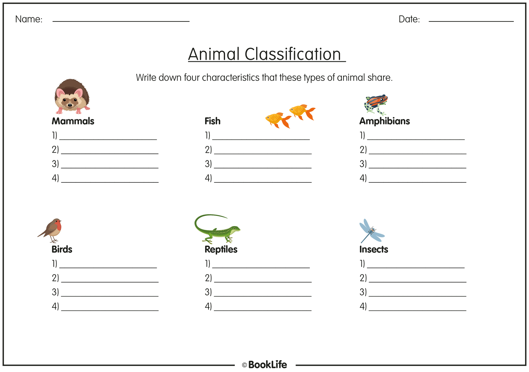 Animal Classification Worksheet
