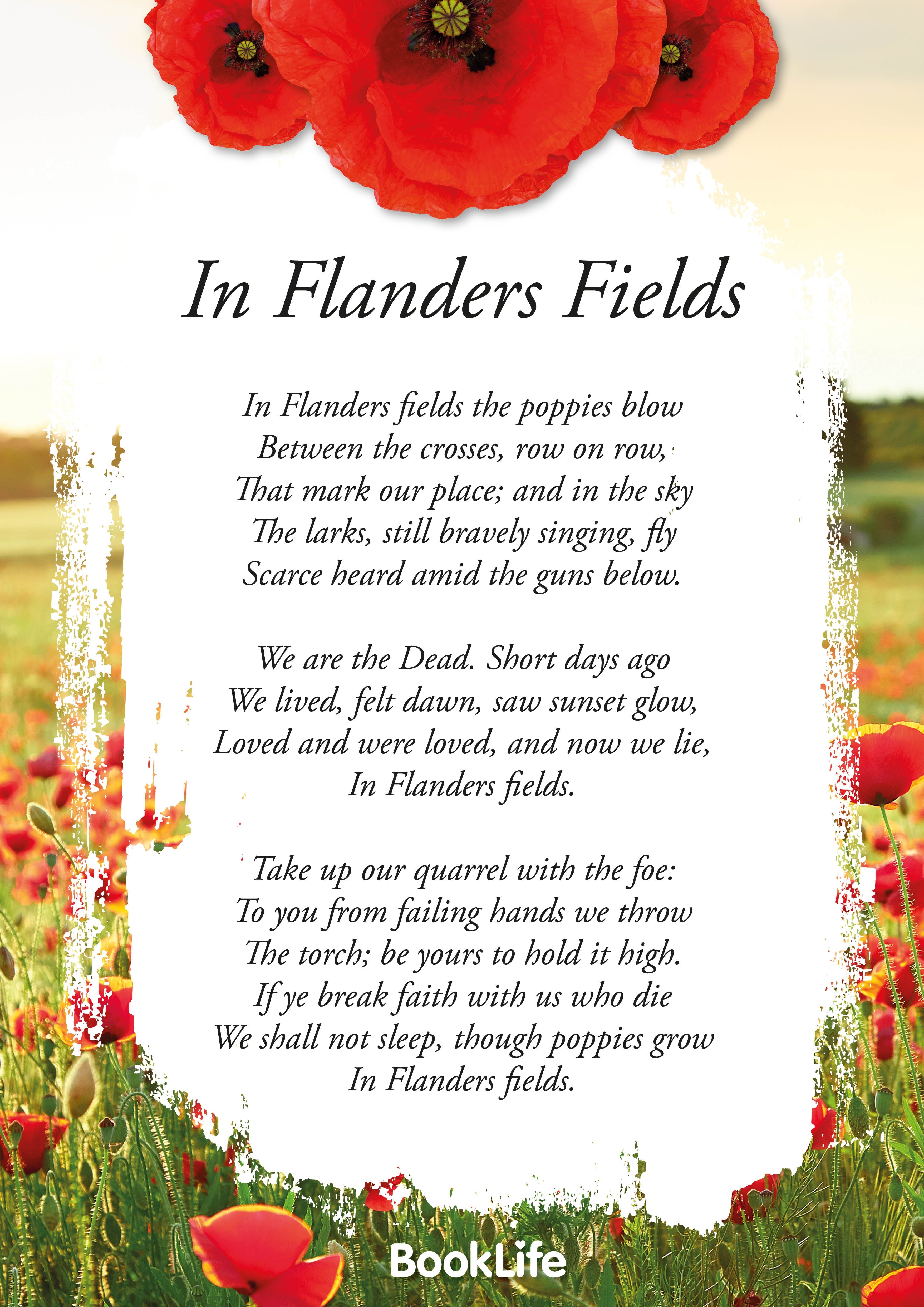 In Flanders Fields Poem Poster