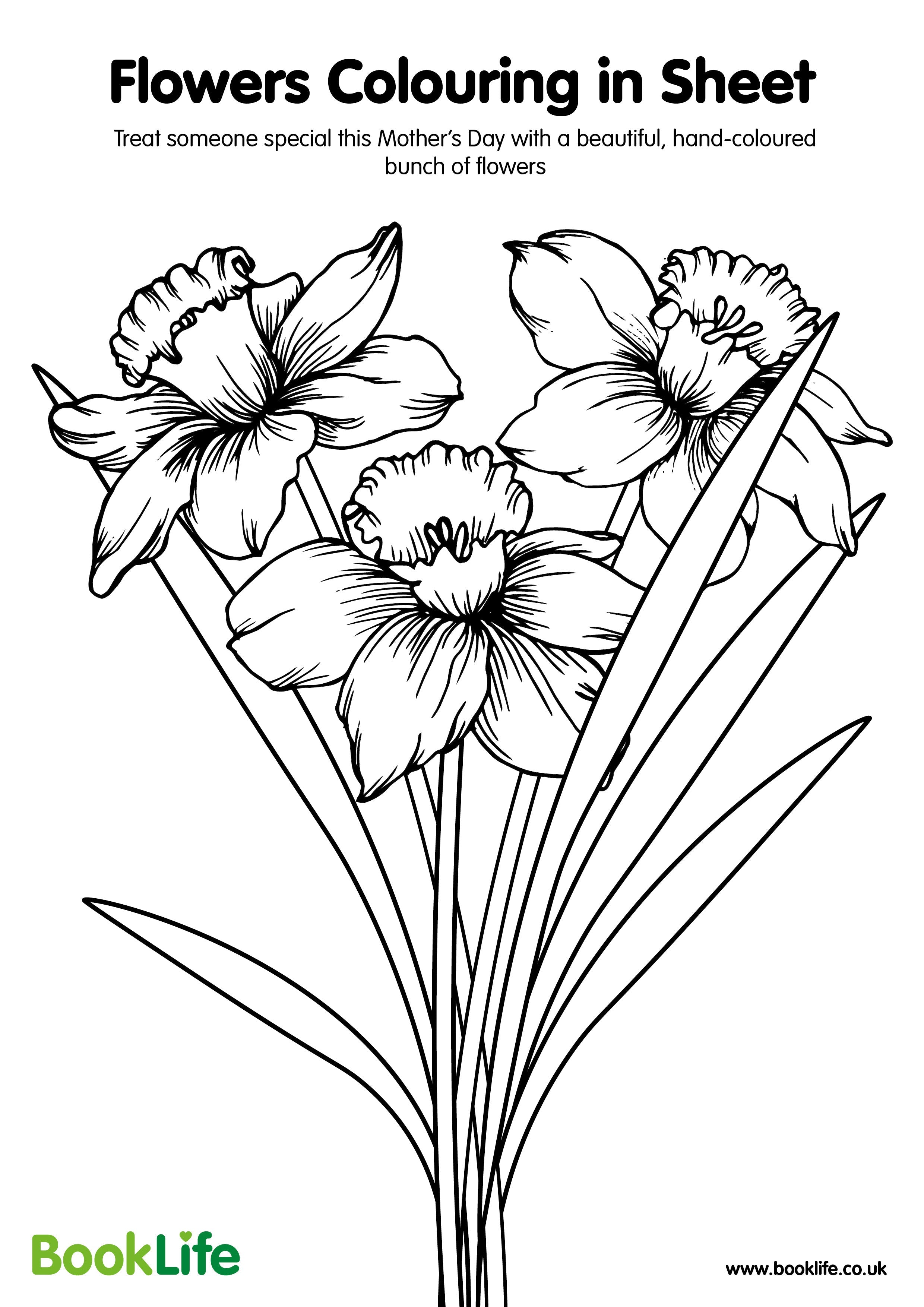 Mothers Day - Flower Colour In Sheet