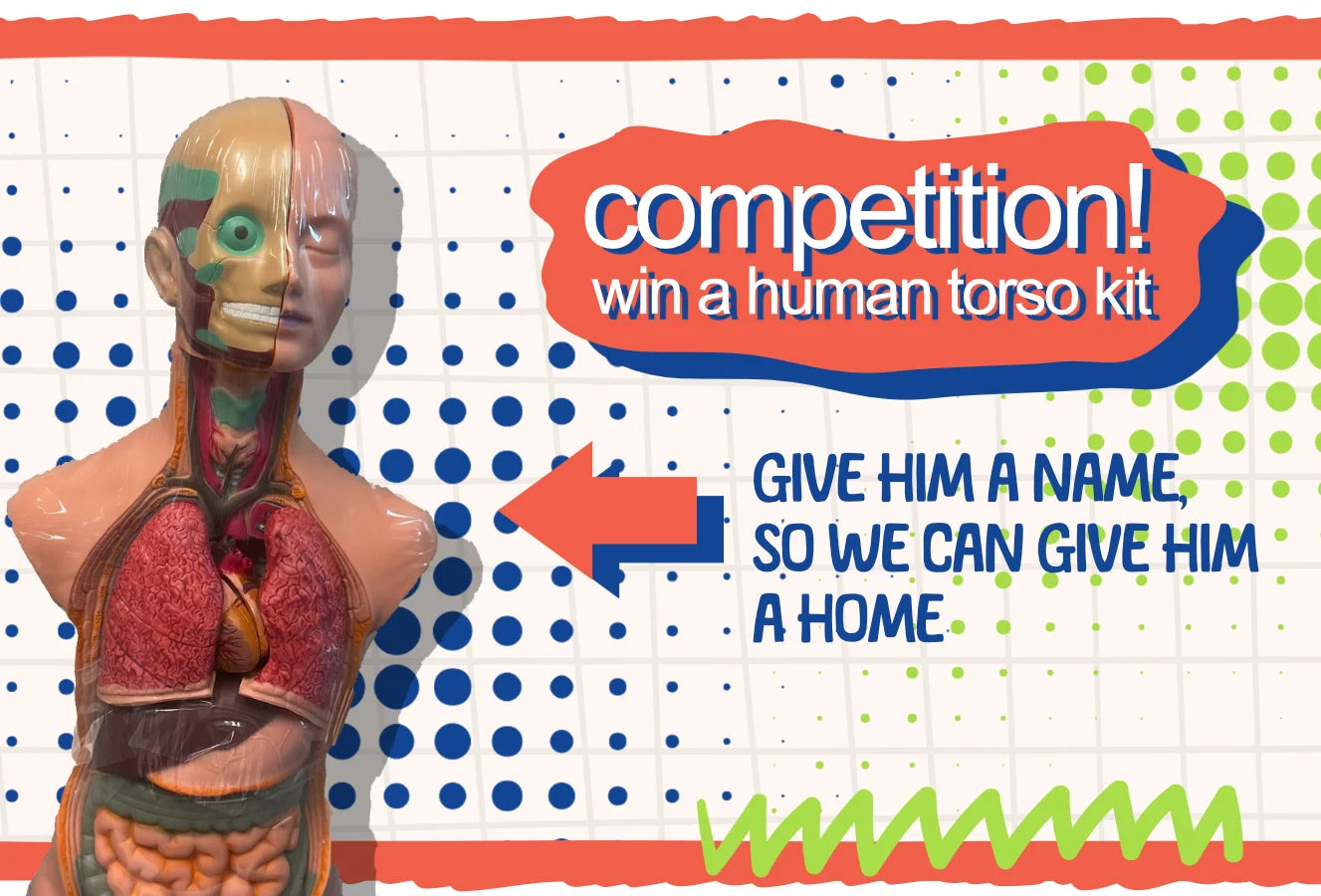 New Competition! Name our Human Torso Model