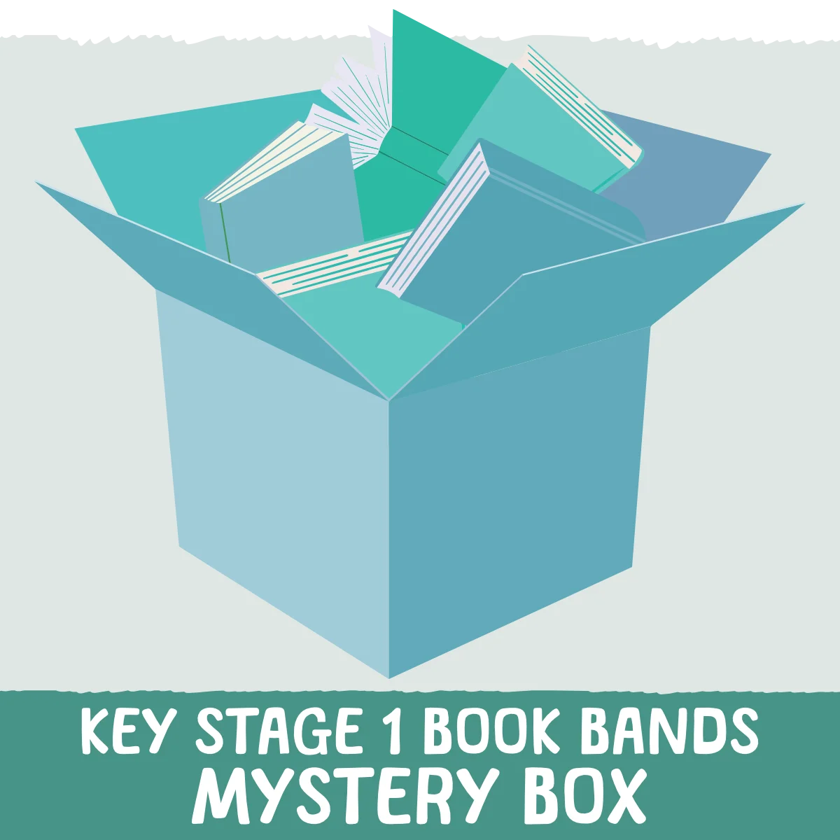 KS1 Book Bands Mystery Box