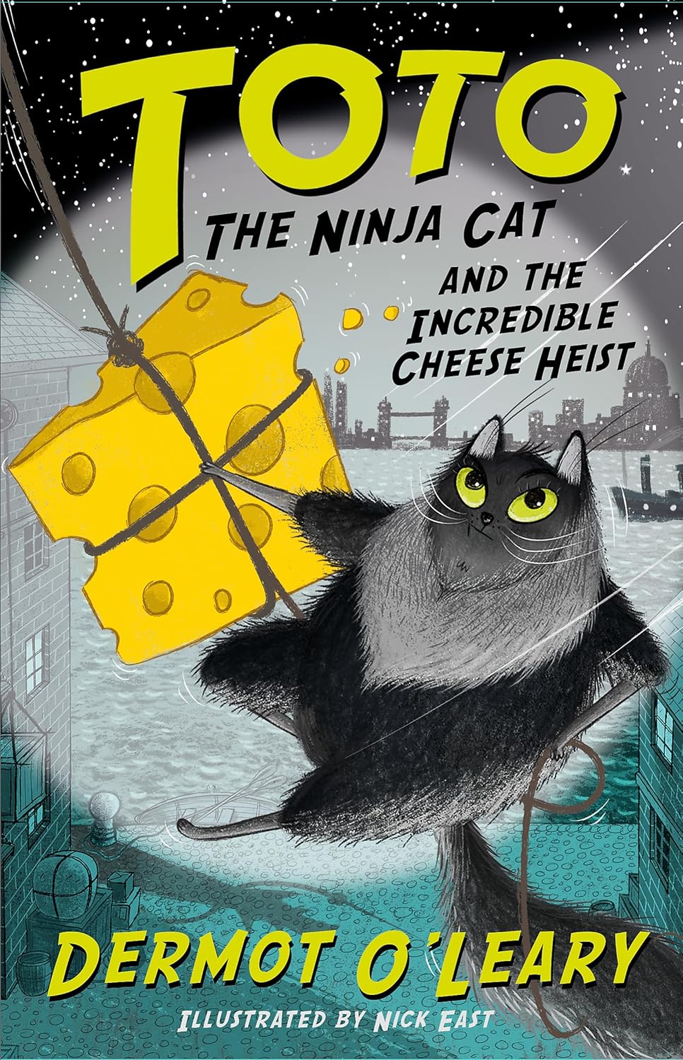 Toto The Ninja Cat