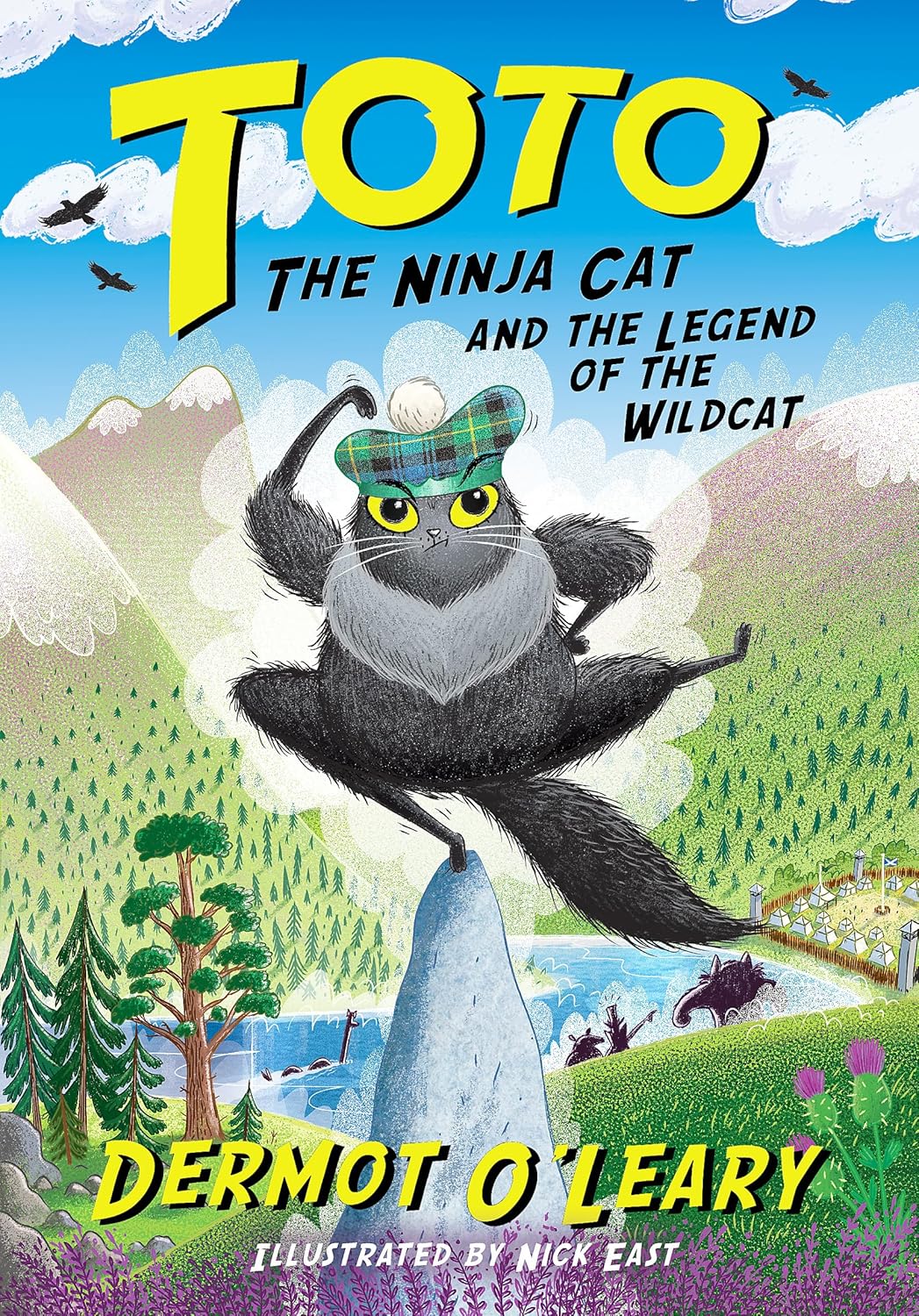 Toto The Ninja Cat