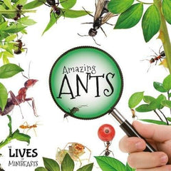 Minibeasts