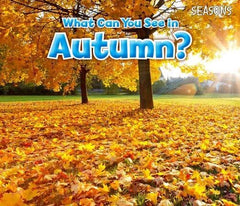 Discovering The Weather and Seasons