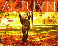 Discovering The Weather and Seasons