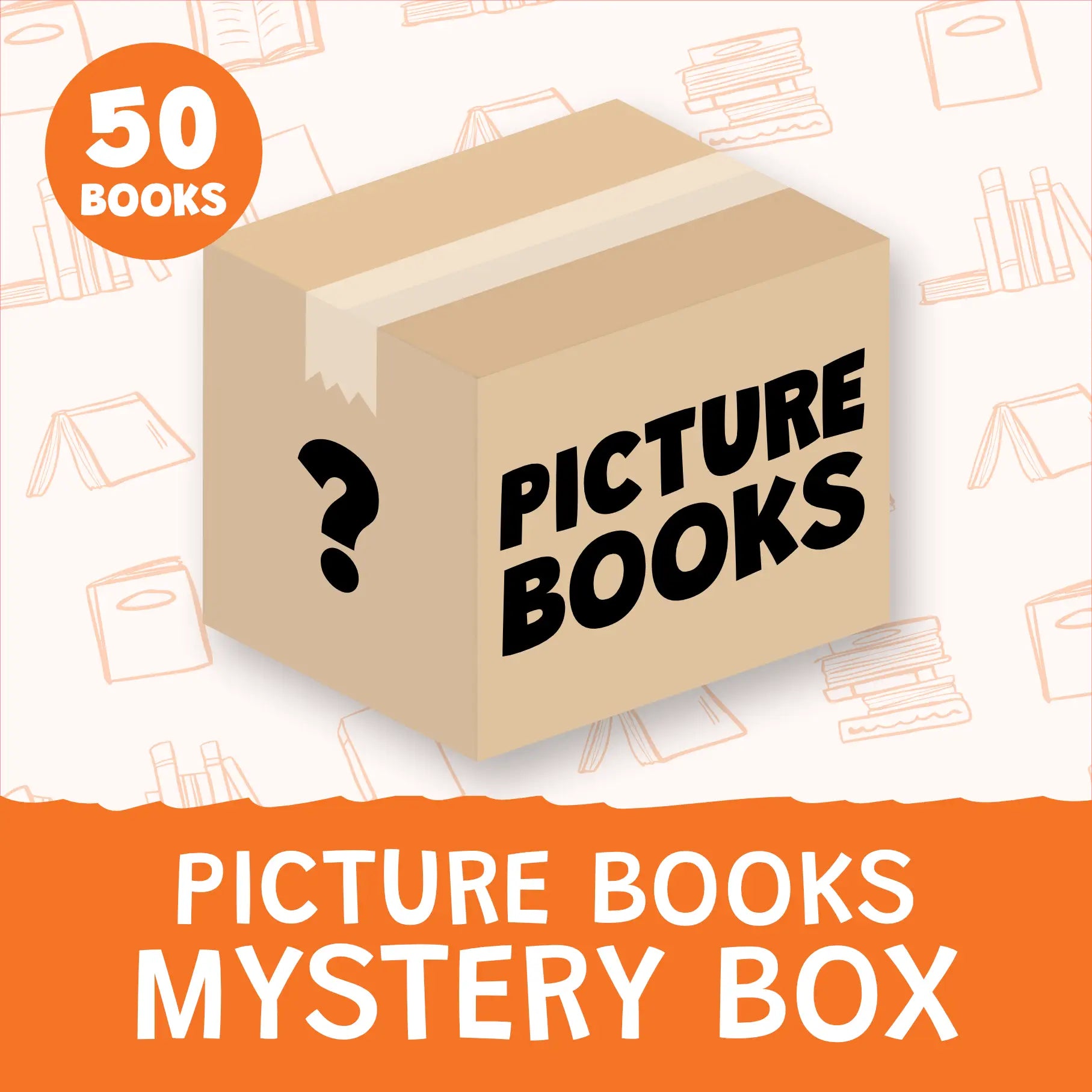 Picture Book Mystery Box