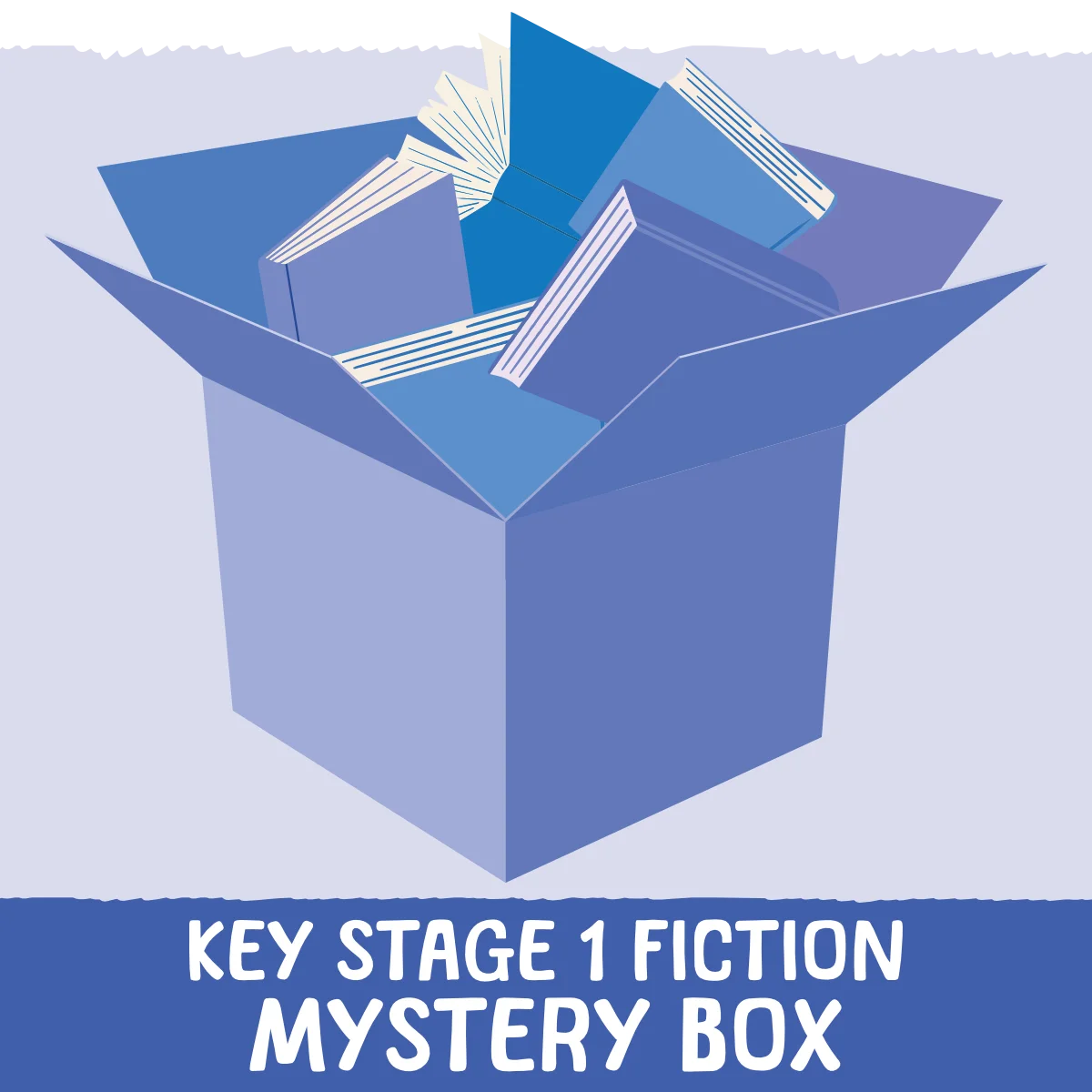 Fiction Mystery Box KS1