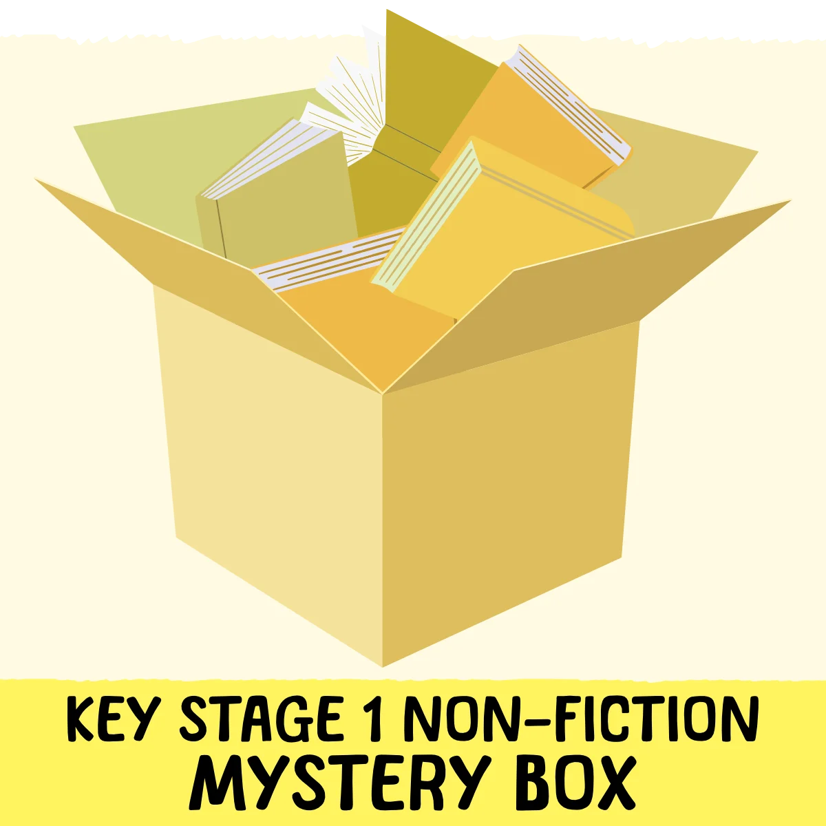 Non-Fiction Mystery Box KS1