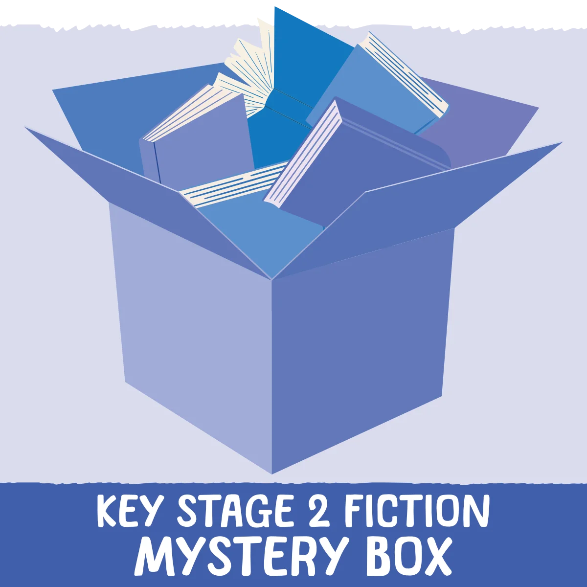 Non-Fiction Mystery Box KS1