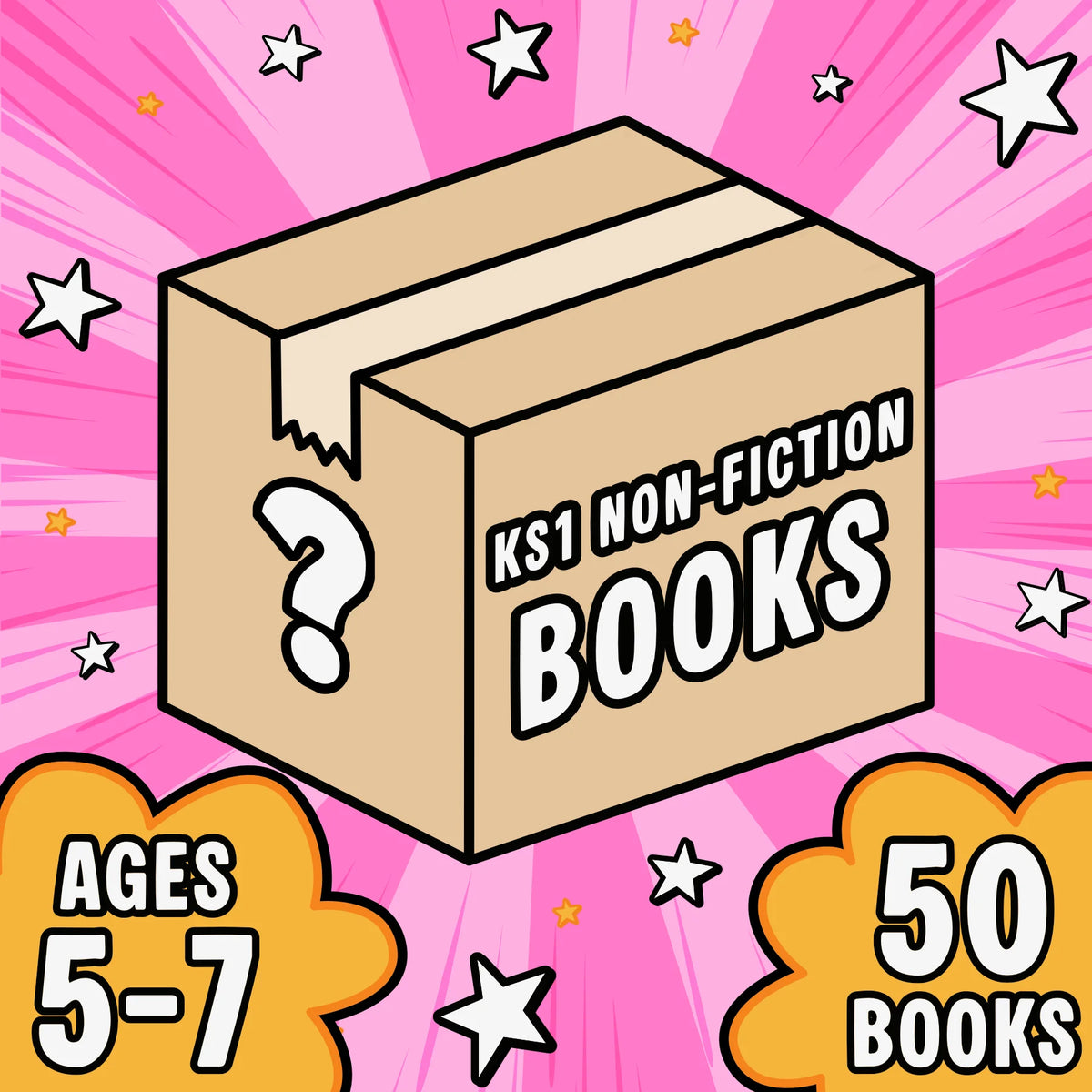 Non-Fiction Mystery Box KS1