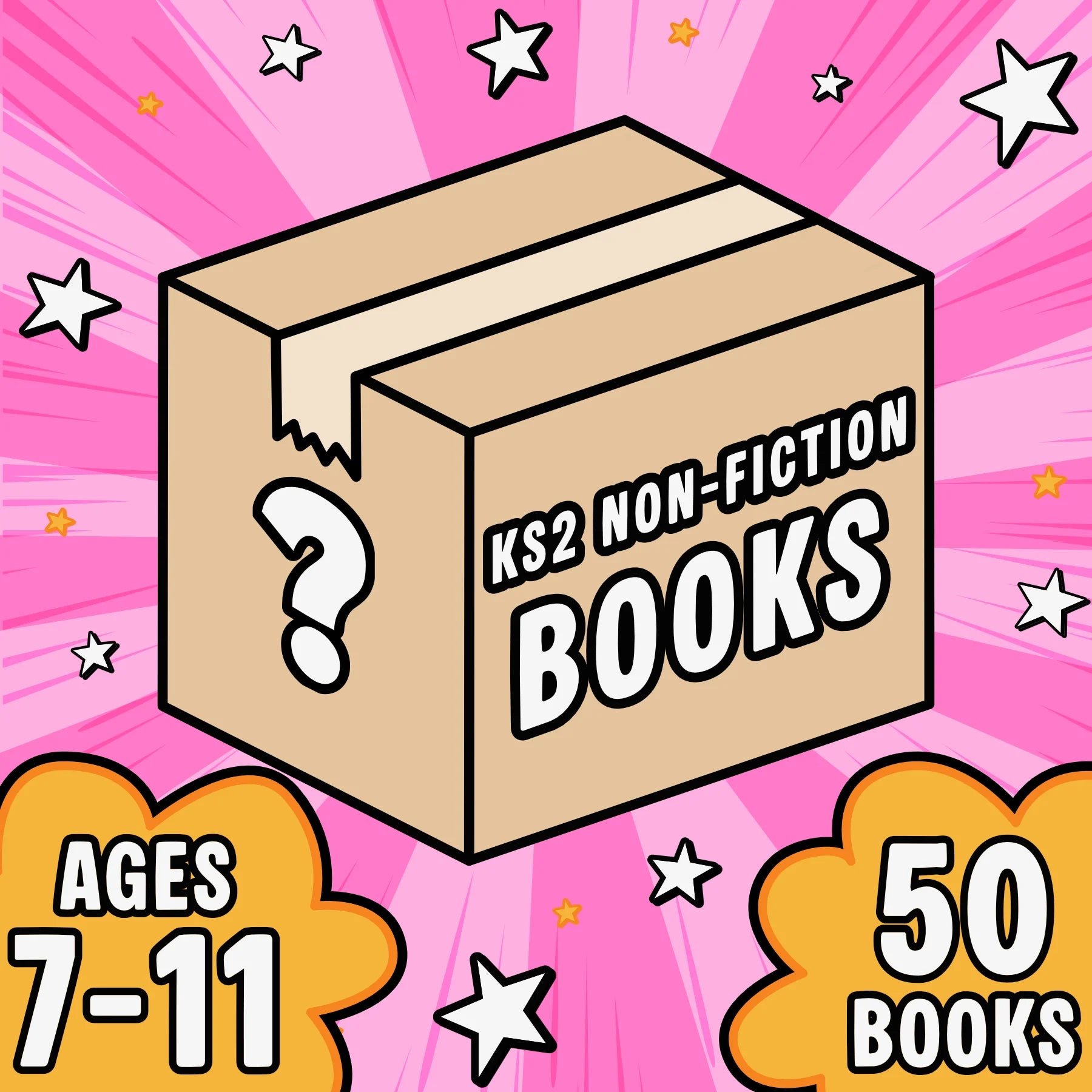 Non-Fiction Mystery Box KS2
