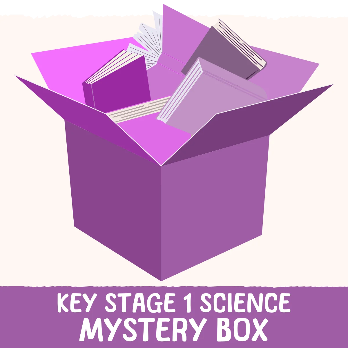 Key Stage 1 Science Mystery Box