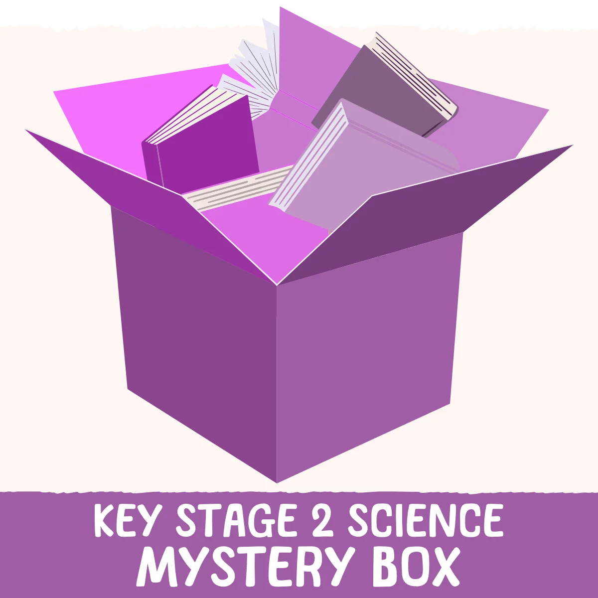 Key Stage 2 Science Mystery Box