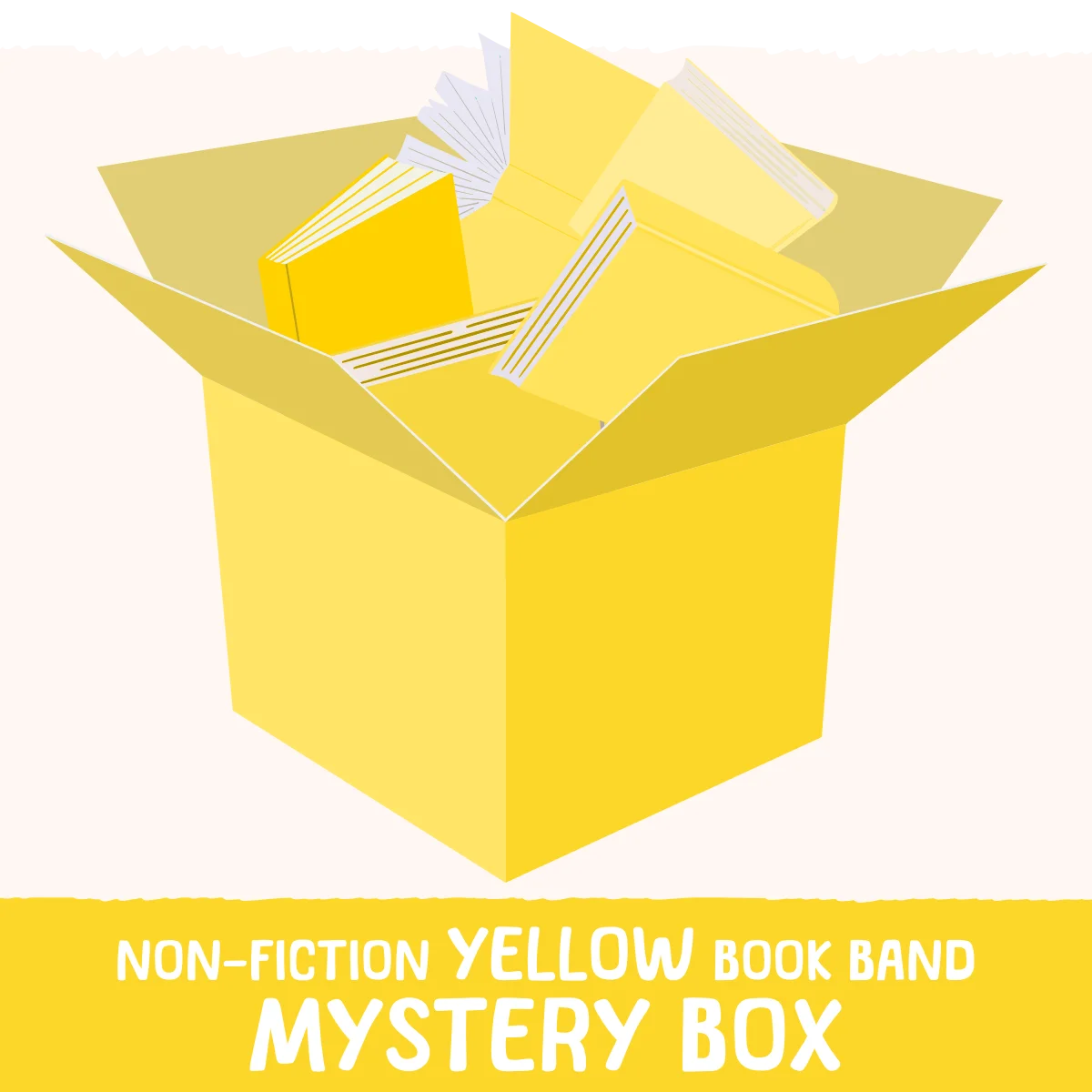 Non-Fiction Yellow Book Band Mystery Box