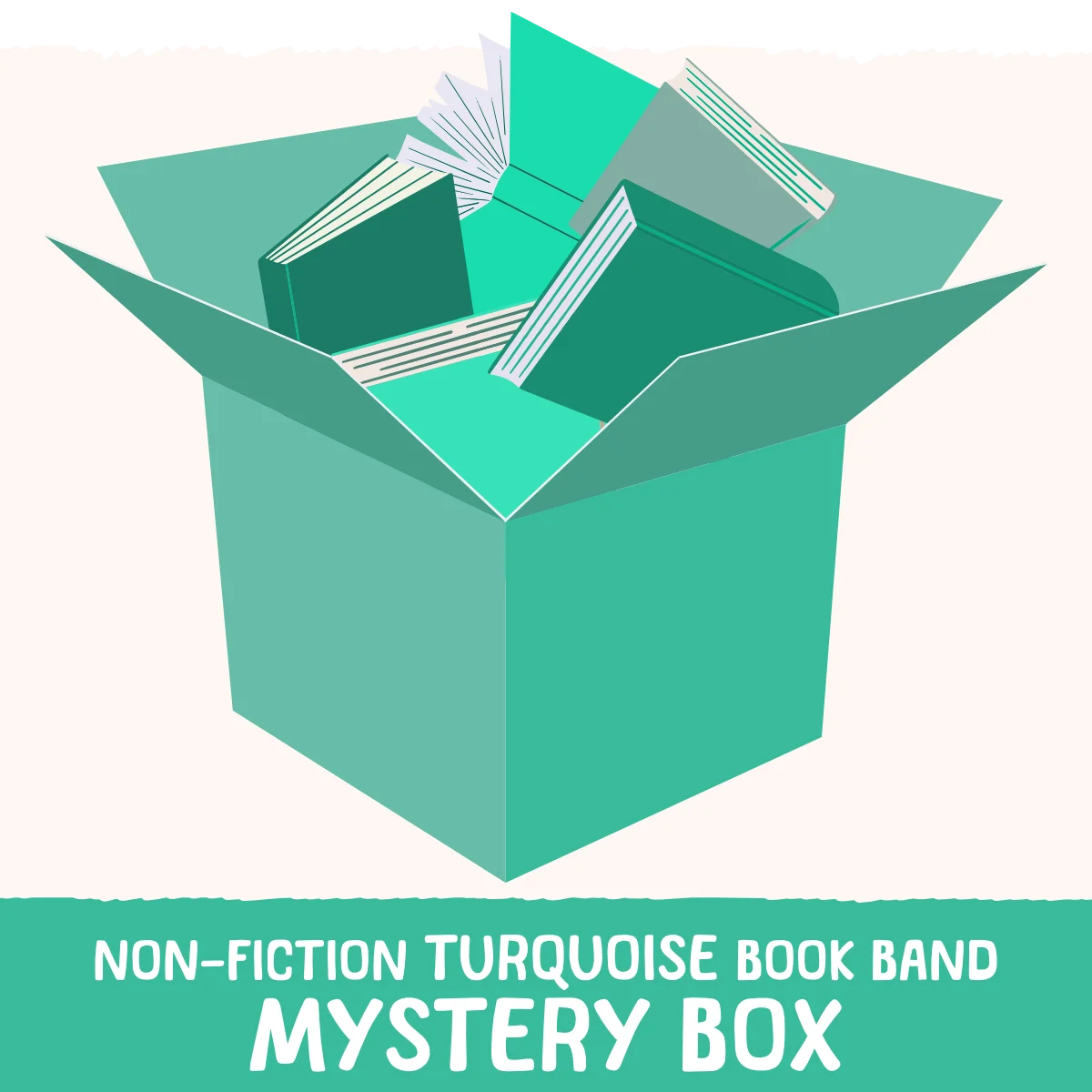 Non-Fiction Turquoise Book Band Mystery Box