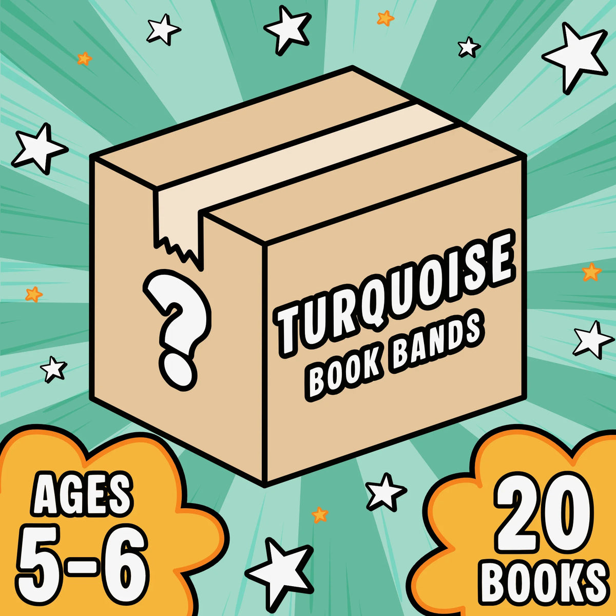 Non-Fiction Book Band Mystery Boxes