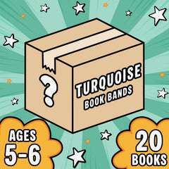 Non-Fiction Book Band Mystery Boxes