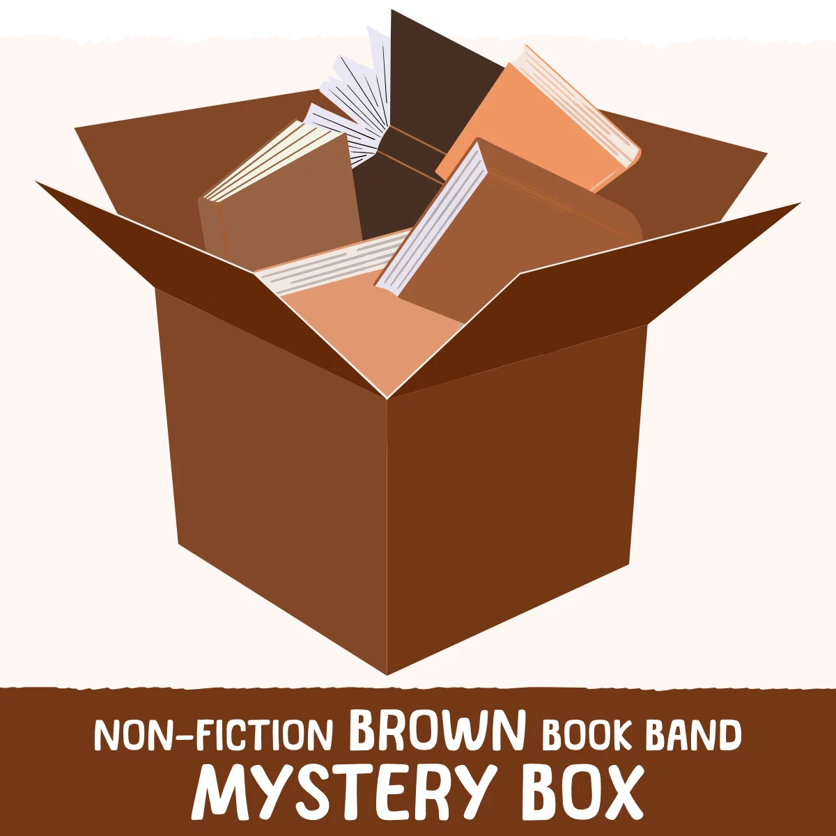 Non-Fiction Brown Book Band Mystery Box