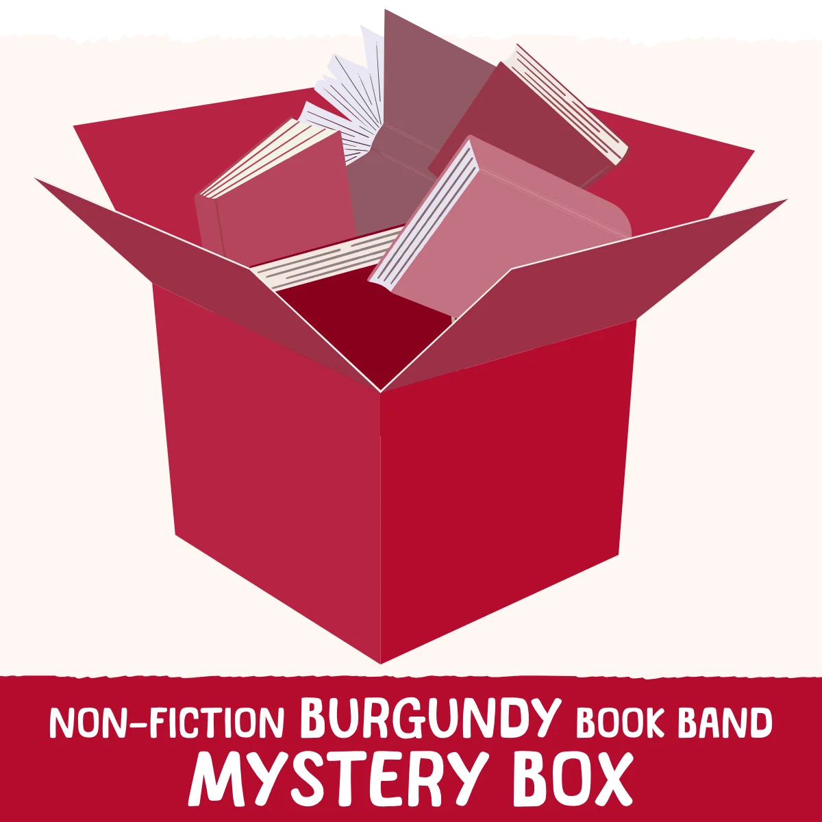 Non-Fiction Burgundy Book Band Mystery Box