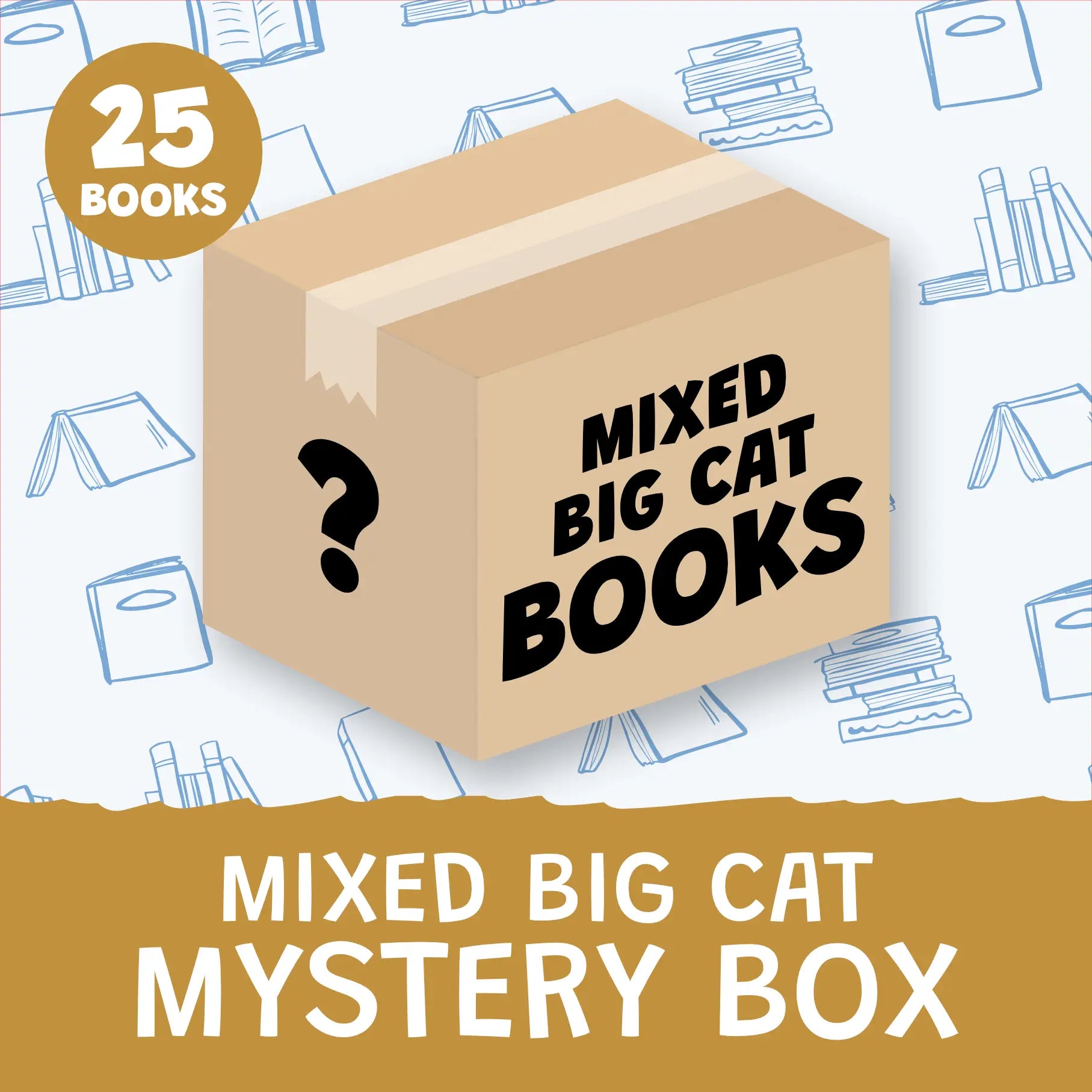 Mixed Phonics Mystery Box