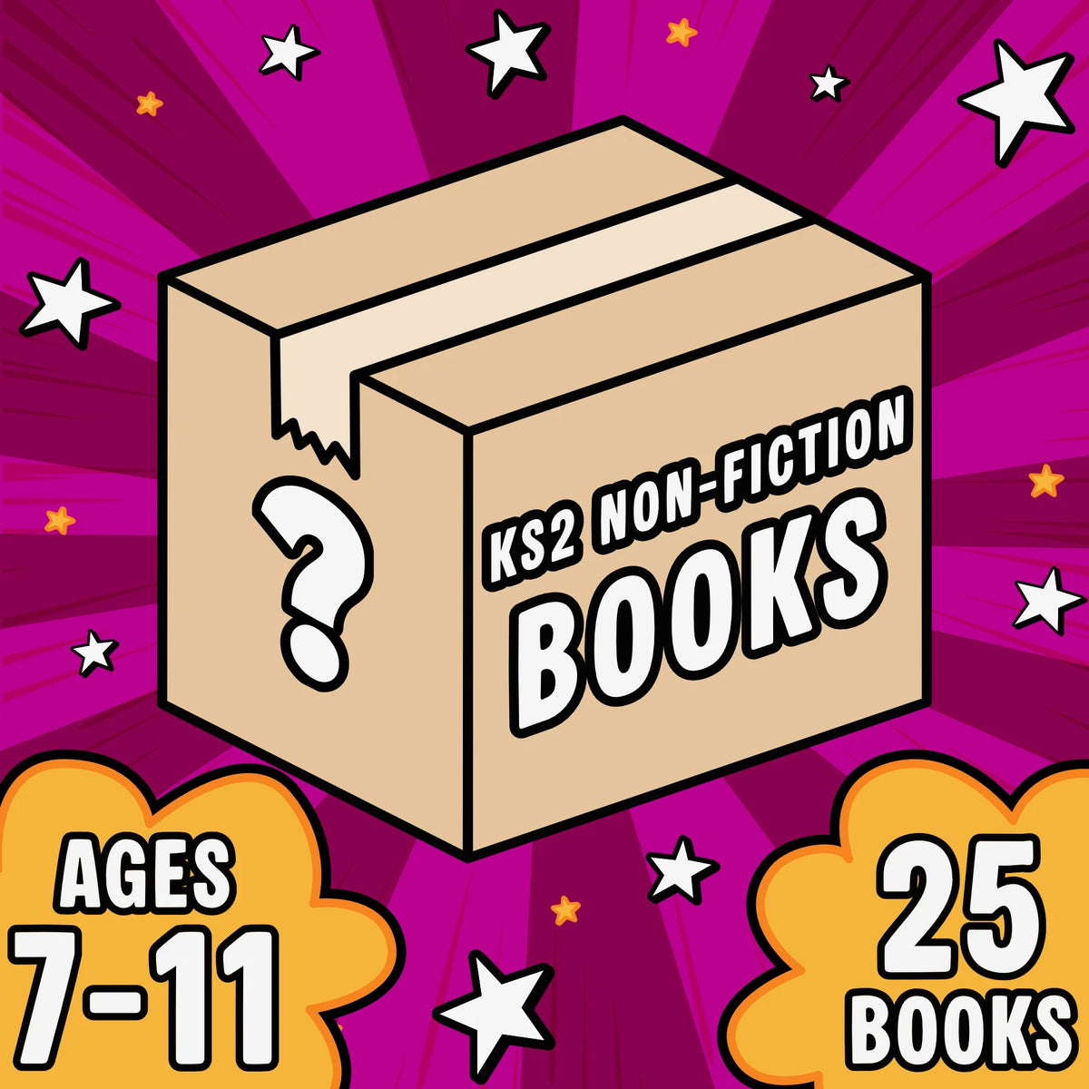 Non-Fiction Saver Mystery Box KS2