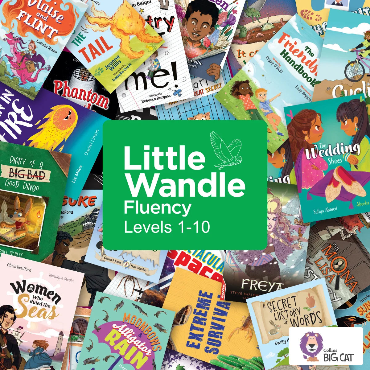 Big Cat for Little Wandle Fluency: Levels 1 to 10 Complete Set
