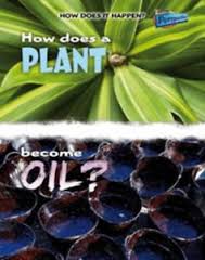 Lower Years Non-Fiction Accelerated Reader