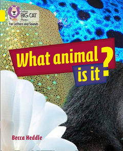 Cover of a Level 3: Yellow Non-Fiction Book Bands book