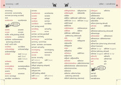 School Spelling Dictionary (Dyslexia Friendly) - Paperback