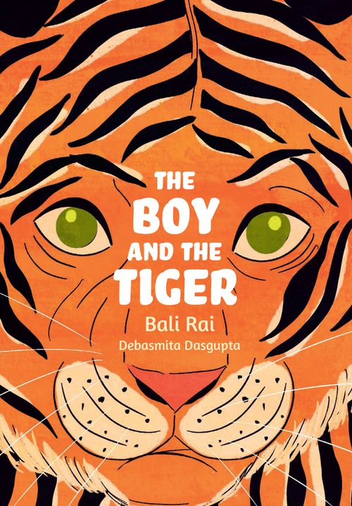 Big Cat for Little Wandle Fluency: Levels 11 to 15