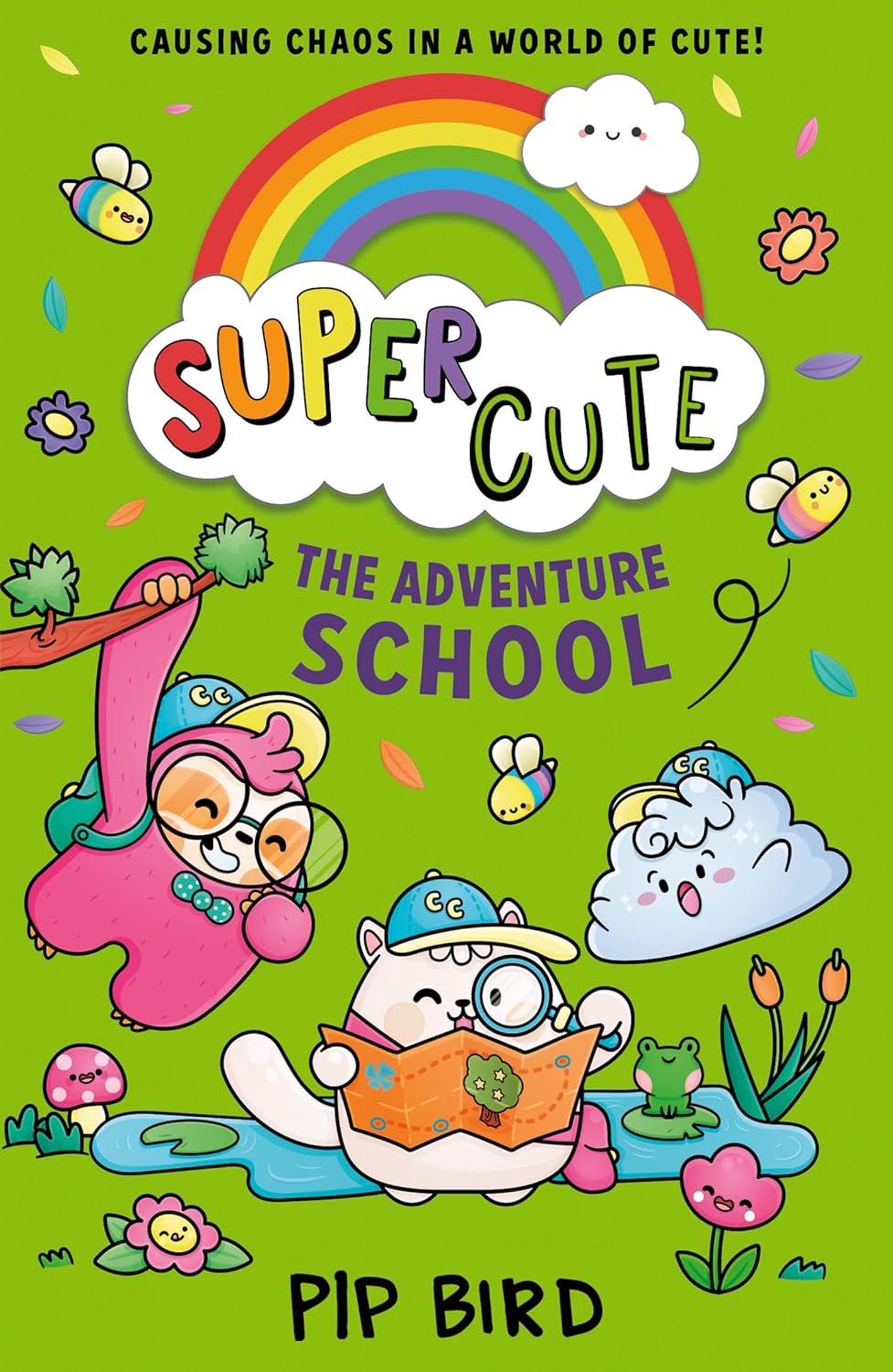 Cover of a Level 12: Brown Book Bands book