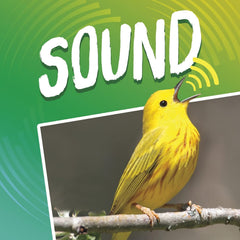 Light and Sound