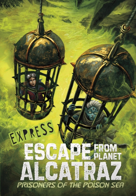 Cover of a Level 11: Lime Book Bands book
