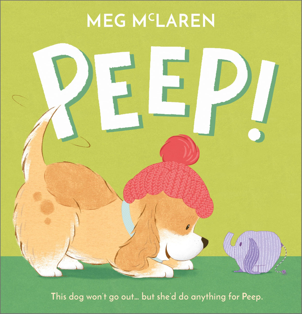 Lower Years Accelerated Reader Picture Book Collection