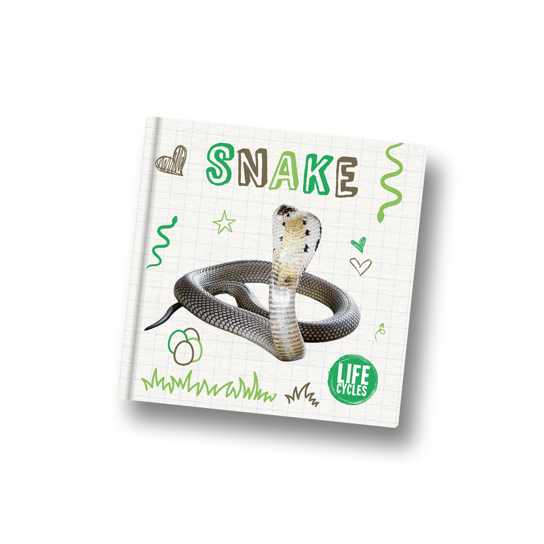 Snake (Life Cycle)