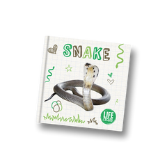 Snake (Life Cycle)