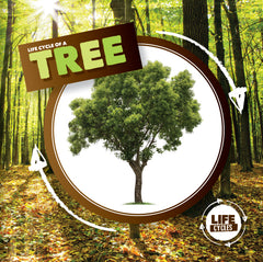 Learning About Trees
