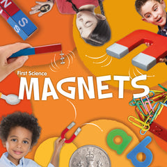 Electricity & Magnetism