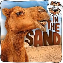 KS1 All About Animals