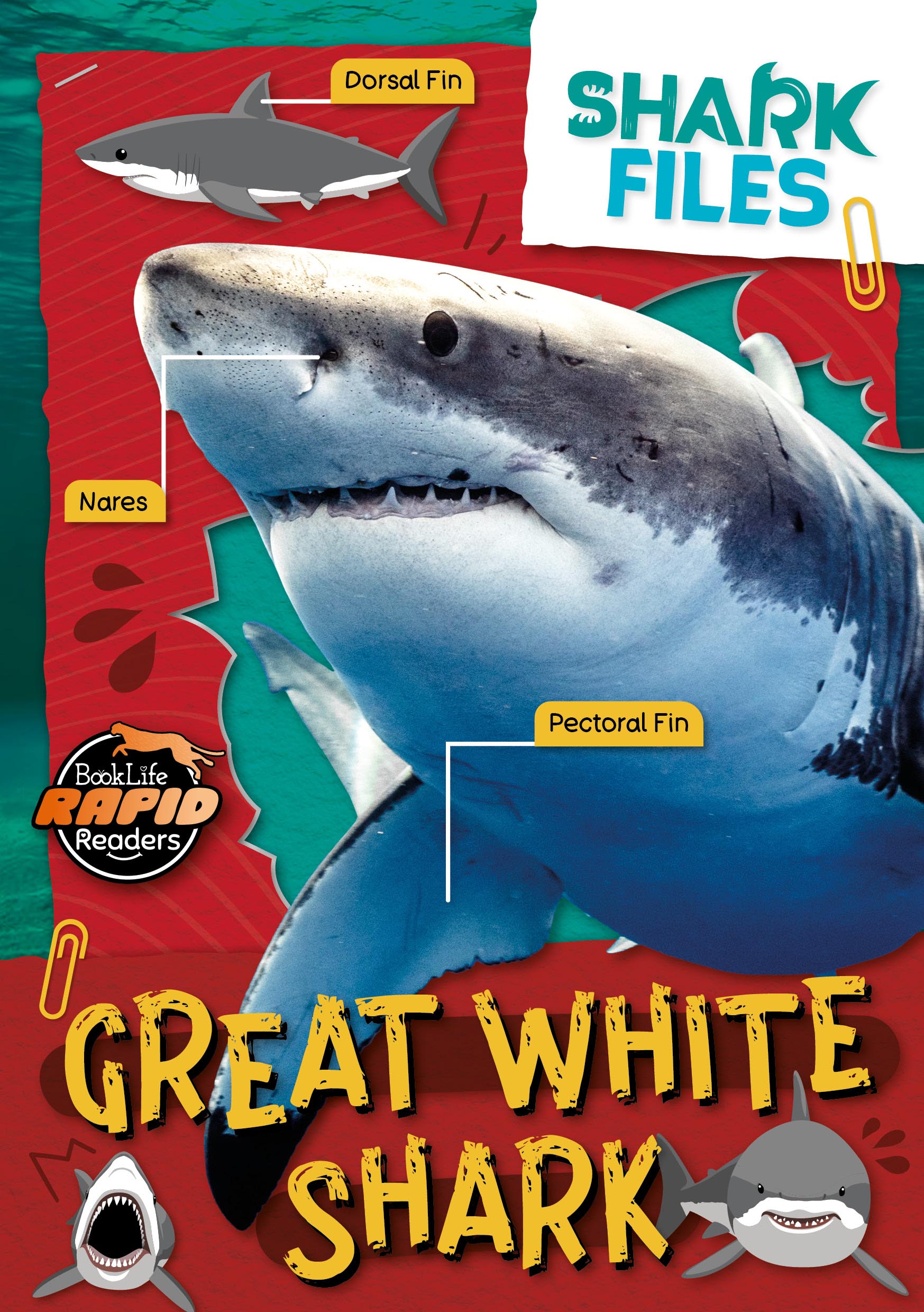 BookLife Rapid Readers: Shark Files (Hi-Lo)