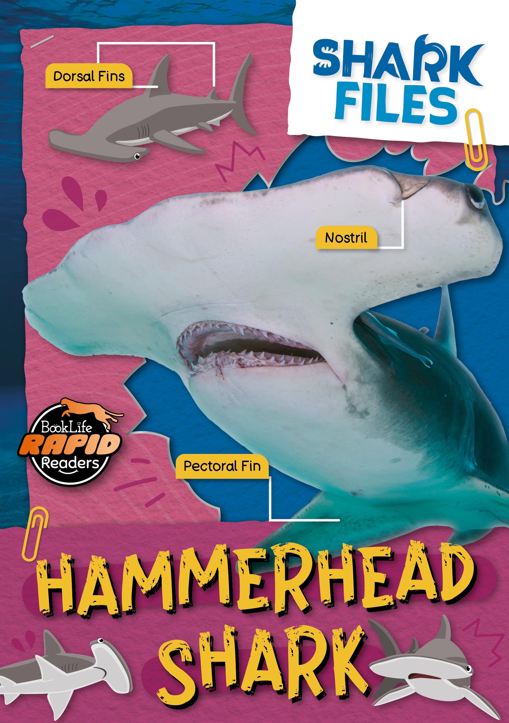 BookLife Rapid Readers: Shark Files (Hi-Lo)