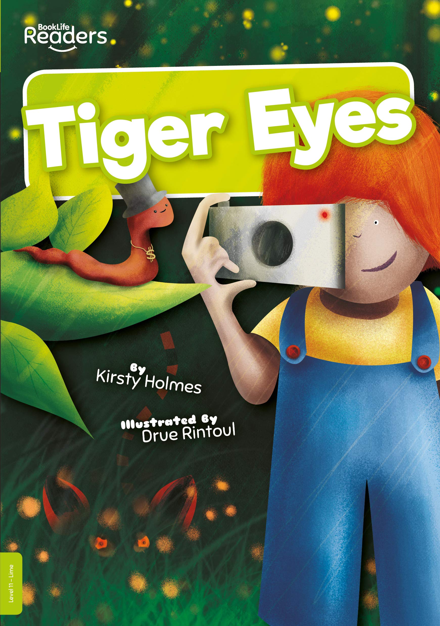 Cover of a Level 11: Lime Book Bands book