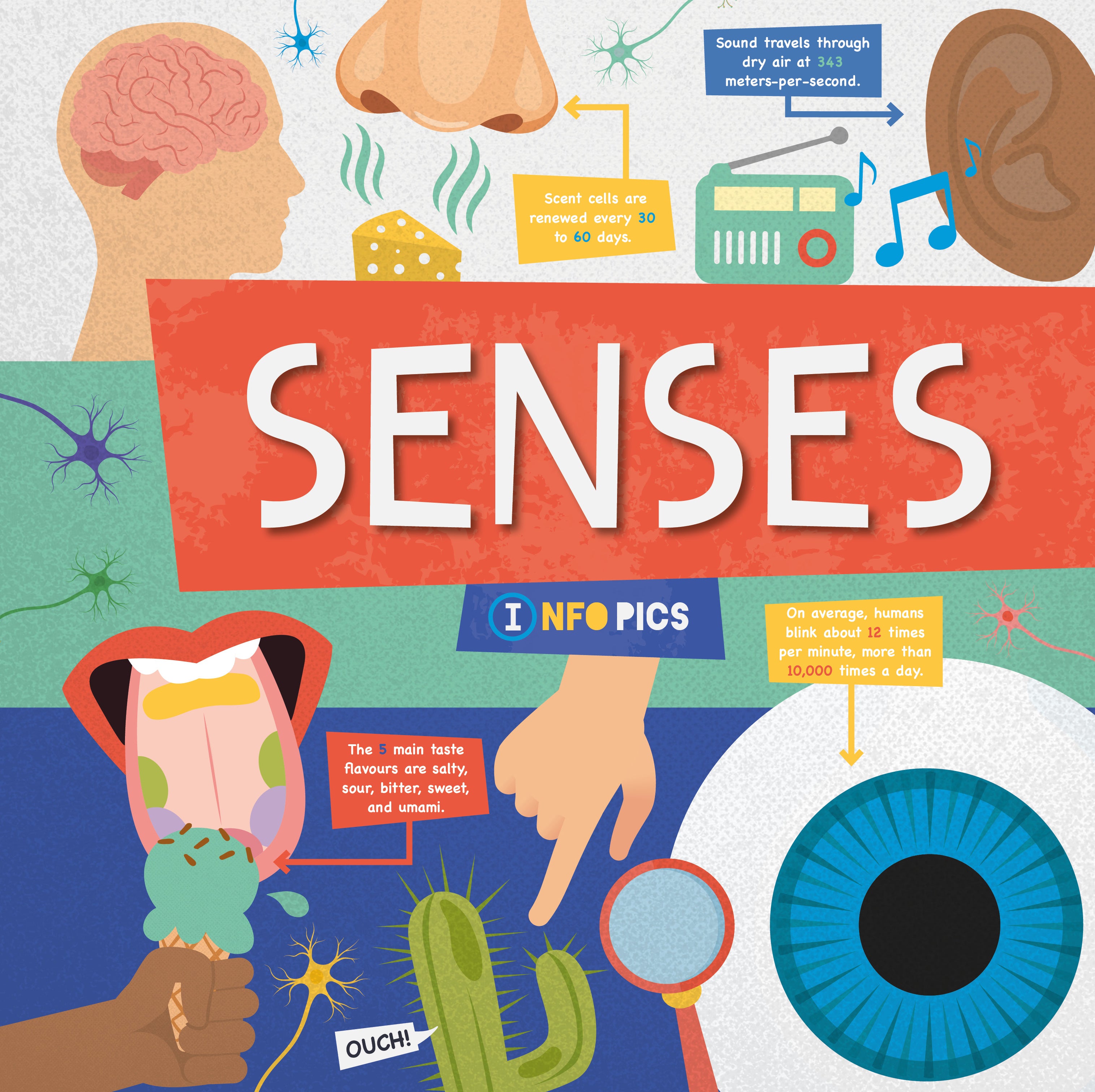 My Senses